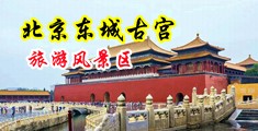 欧美自拍亚洲乱伦中国北京-东城古宫旅游风景区